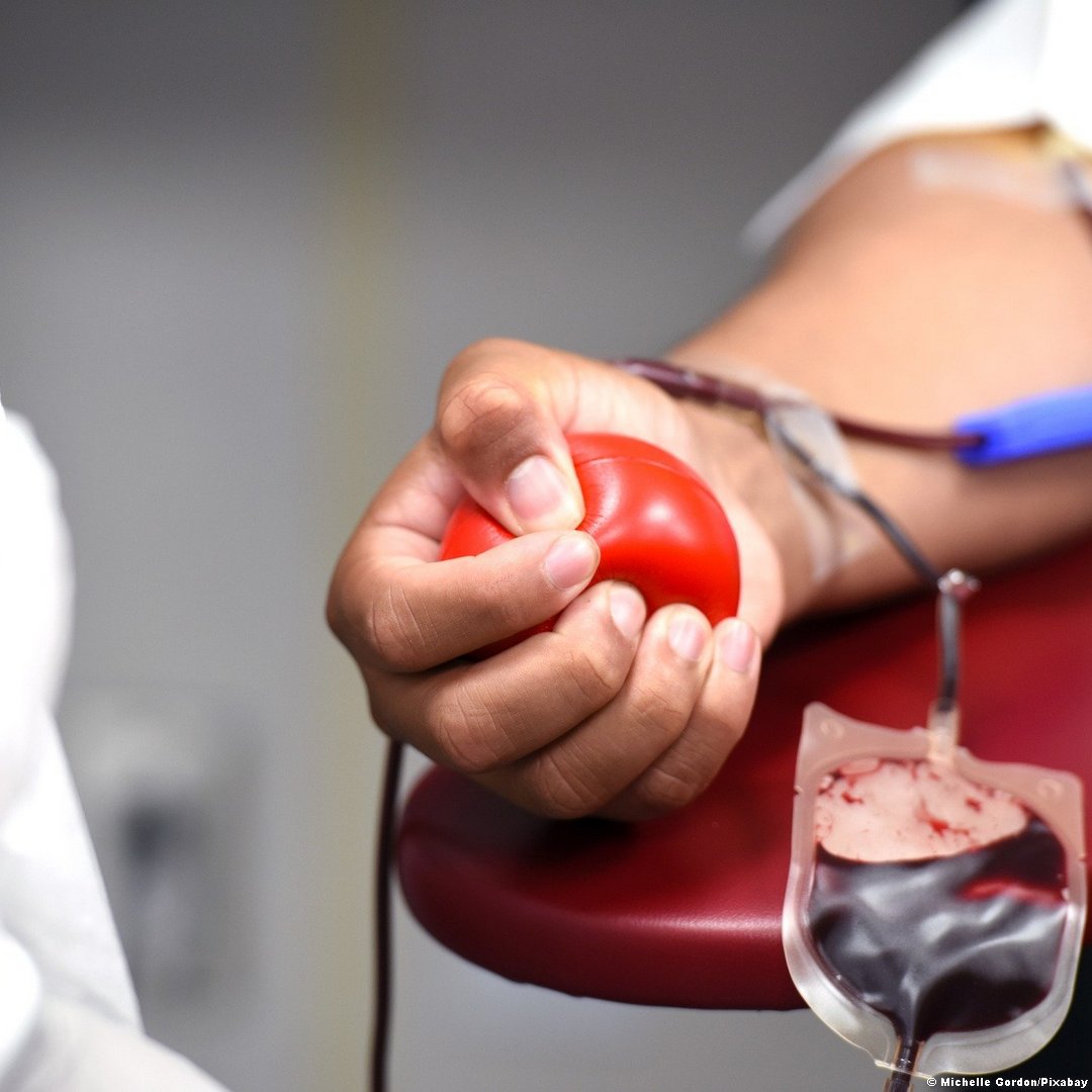 ? Doação de sangue é incentivada em campanha; encontre os hemocentros da PB