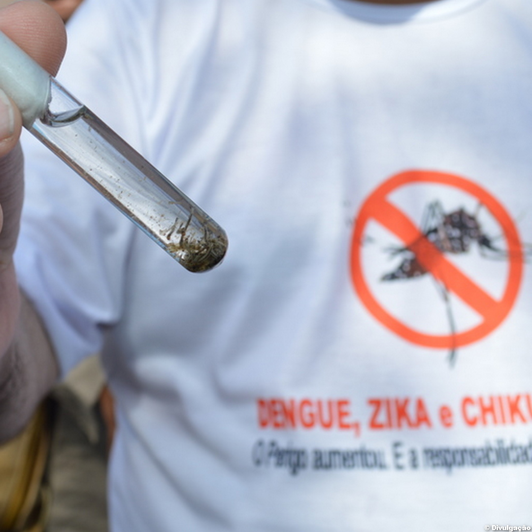 ? Números de casos prováveis de dengue, chikungunya e zika disparam na Paraíba