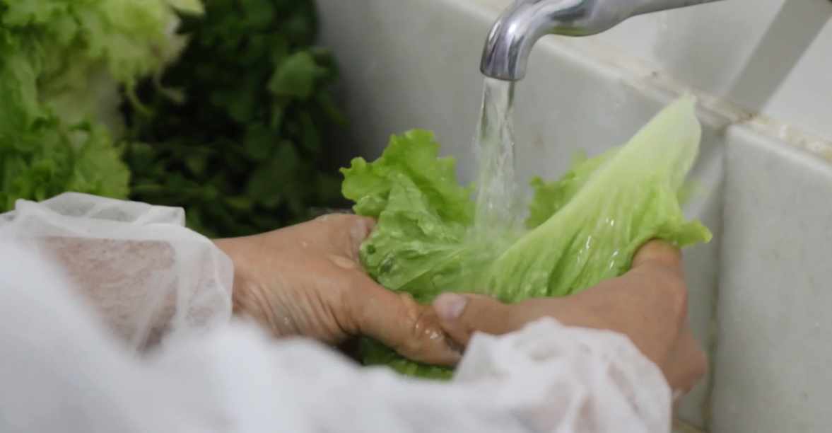 🥗 Higienizar alimentos é fundamental para evitar contaminações e até doenças