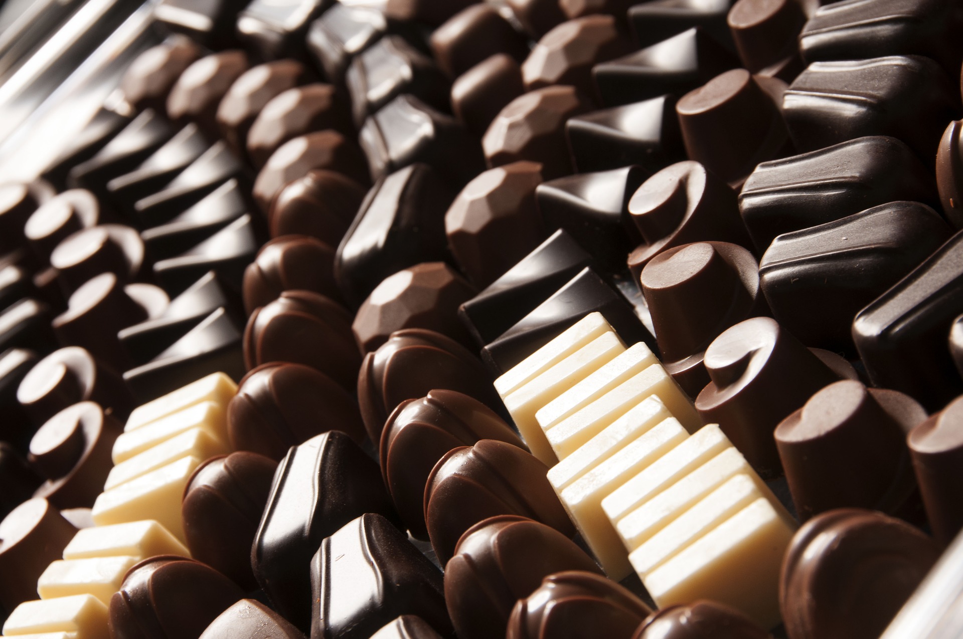🍫 Pesquisadora destaca benefícios do cacau para a saúde no “Dia do Chocolate”