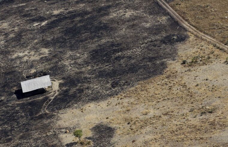?? Áreas particulares respondem por 60% das queimadas registradas no Brasil