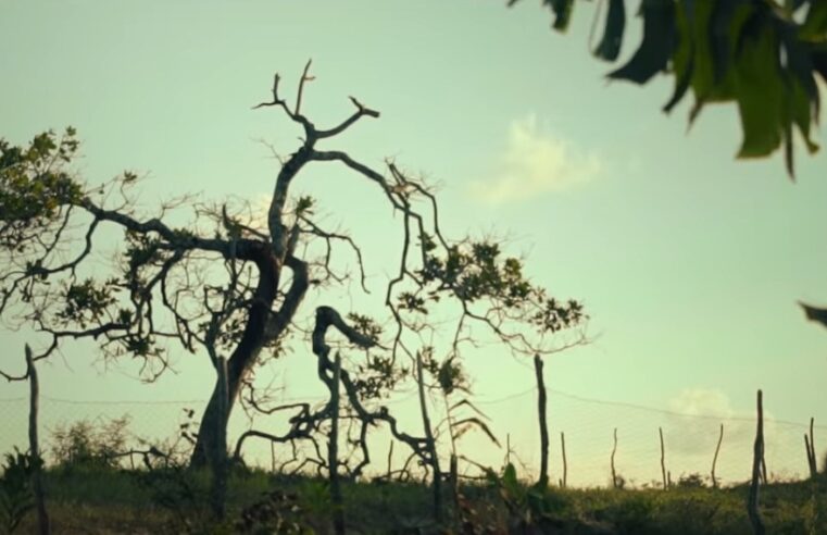 ? Assista o clipe de Gilberto Gil ambientado nas cidades paraibanas de Arara e Esperança