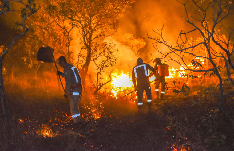 ? Verba de R$ 20 mi é repassada para combate de incêndios florestais no território nacional