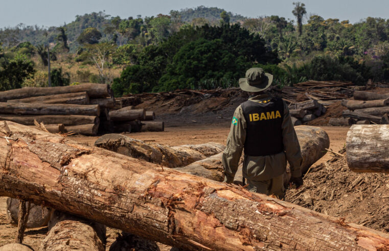 ? Desmatamento na Amazônia cresce 56,6% nos últimos três anos, segundo Ipam