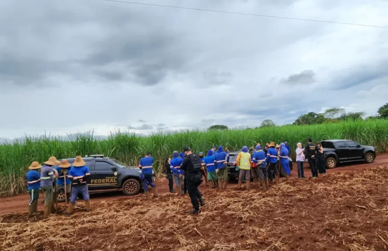 🚓 Trabalhadores do RN, Piauí e Maranhão são resgatados da ‘escravização da cana’ em Goiás
