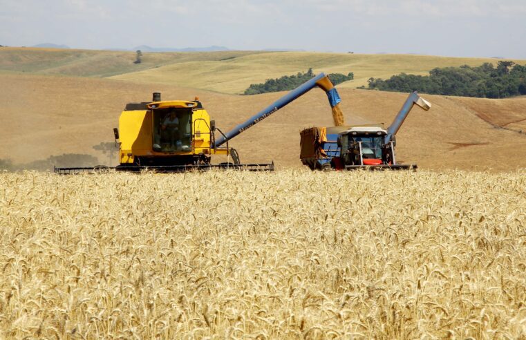 🚜 Plano Safra sobe 27% e chega orçado em R$ 364 bilhões para médio e grande produtor rural