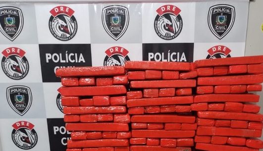 🚨 Em seis meses, Polícia Civil da Paraíba ultrapassa uma tonelada de drogas apreendidas