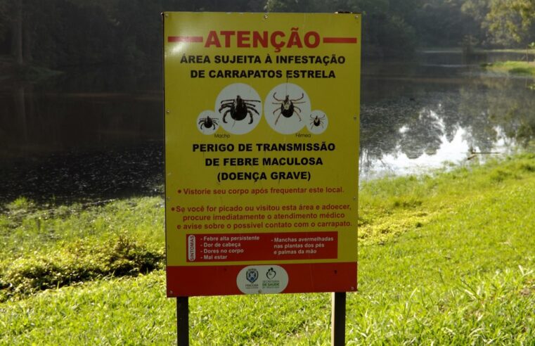 🚑 Febre maculosa: doença do carrapato em humanos provocou mortes e soma 49 casos no Brasil