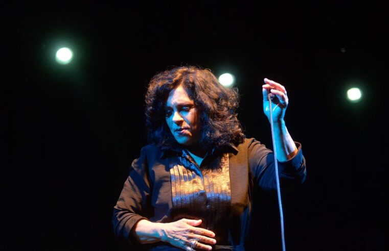 💔 Certidão de óbito revela a verdadeira causa da morte de Gal Costa em novembro de 2022