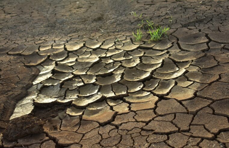 |🍂 Previsão climática alerta sobre agravamento da seca no Nordeste influenciada pelo El Niño até 2024