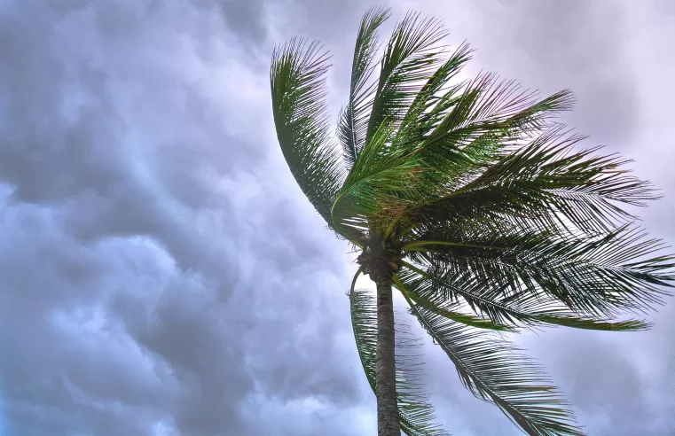 |⚠️⛈ Cidades paraibanas ficam sob alerta para perigo de chuvas intensas com rajadas de vento