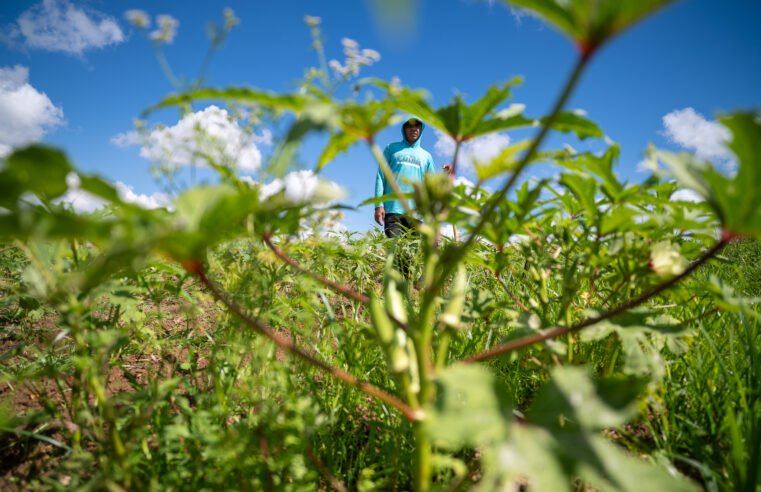 |🌱Cajazeiras recebe capacitação sobre produção de Alimentos Orgânicos voltada a agricultores