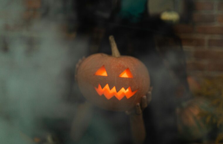 |🧙🏻‍♀️🎃🧟🧛‍♂️ Confira seleção de filmes e séries para entrar no clima de halloween e onde assistir