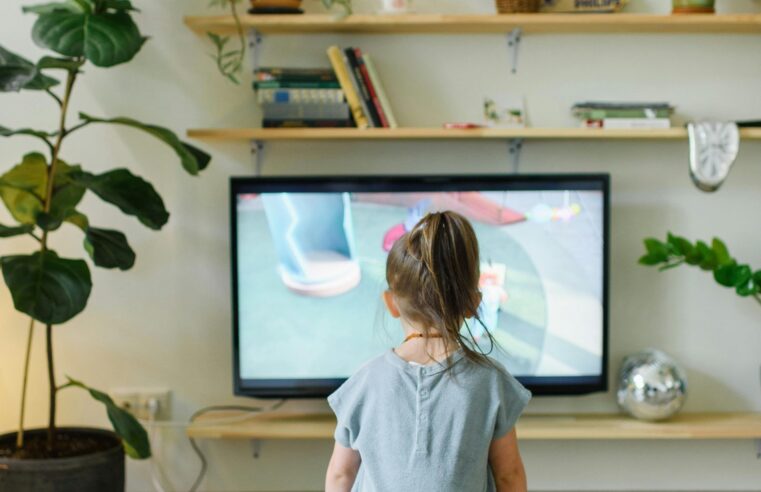 |🐊Veja animação paranaense que está bombando em visualizações atavés de plataforma de vídeos