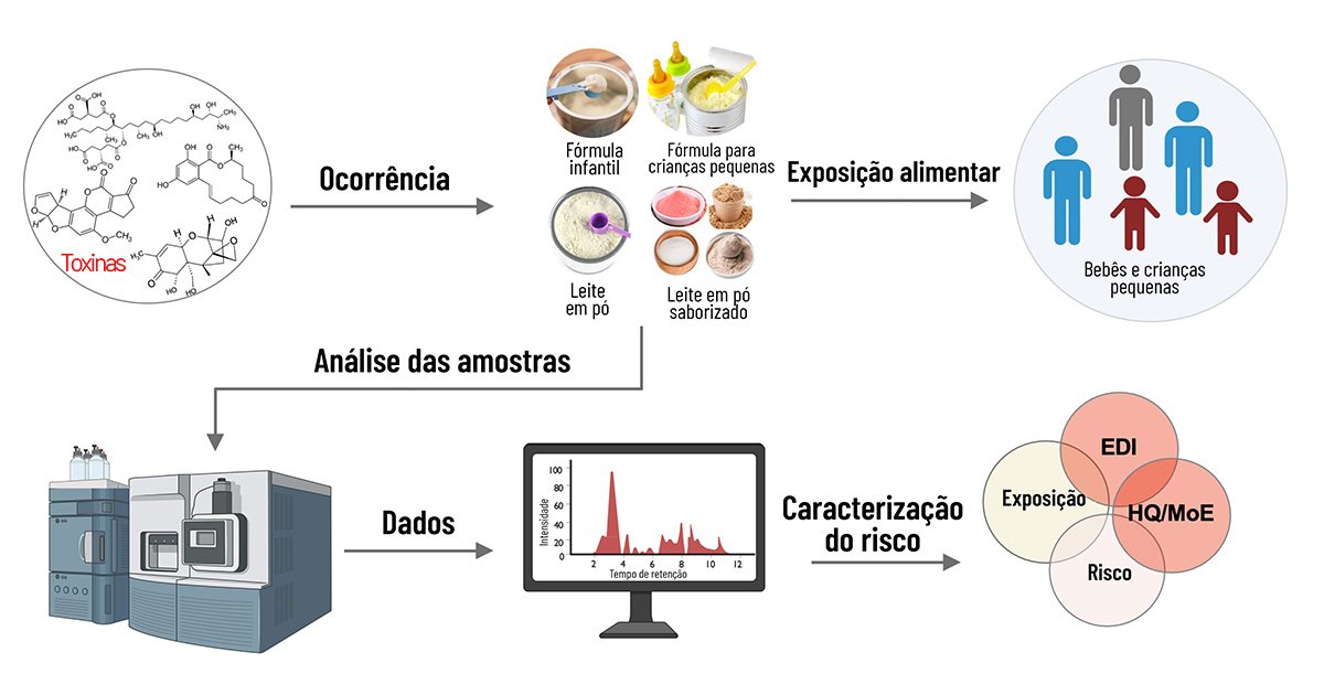 Infográfico que apresenta, da esquerda para a direita, as etapas de uma avaliação de risco de exposição a toxinas em produtos lácteos destinados a bebês e crianças pequenas. À esquerda, um círculo contém representações de estruturas químicas, acompanhado da palavra “Toxinas”, em vermelho. Uma seta cinza aponta para quatro categorias de produtos: fórmula infantil, fórmula para crianças pequenas, leite em pó e leite em pó saborizado, ilustrados por mamadeiras, latas, tigelas e colheres com pó. Outra seta indica a exposição alimentar de bebês e crianças pequenas, representados por duas figuras adultas e duas infantis dentro de um círculo azul-claro. Abaixo dos produtos, uma seta direciona as amostras para equipamentos de análise laboratorial. O processamento gera dados, representados por um gráfico de picos vermelhos em uma tela de computador. Uma última seta leva à etapa de caracterização do risco, ilustrada por três círculos sobrepostos com os termos exposição, ingestão diária estimada, quociente de perigo e margem de exposição e risco.