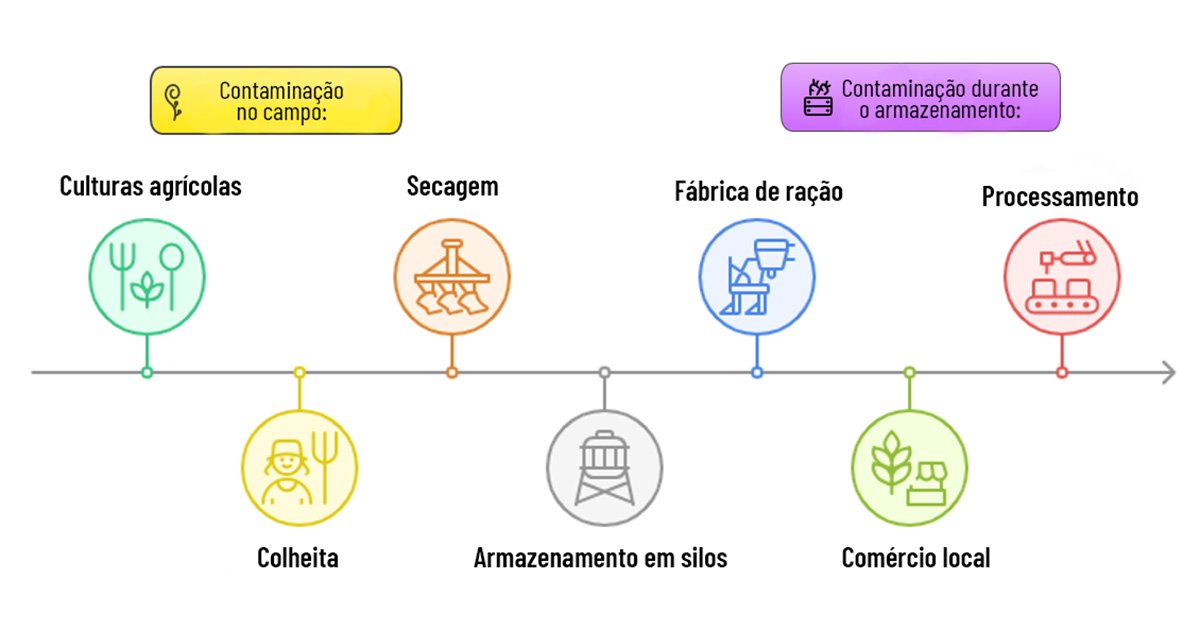 Infográfico em formato de linha do tempo que apresenta as etapas da cadeia de produção agrícola. Cada etapa é representada por um ícone colorido conectado a uma linha horizontal cinza com uma seta à direita. Na parte superior, dois quadros destacam os possíveis pontos de contaminação: Contaminação no campo e Contaminação durante o armazenamento